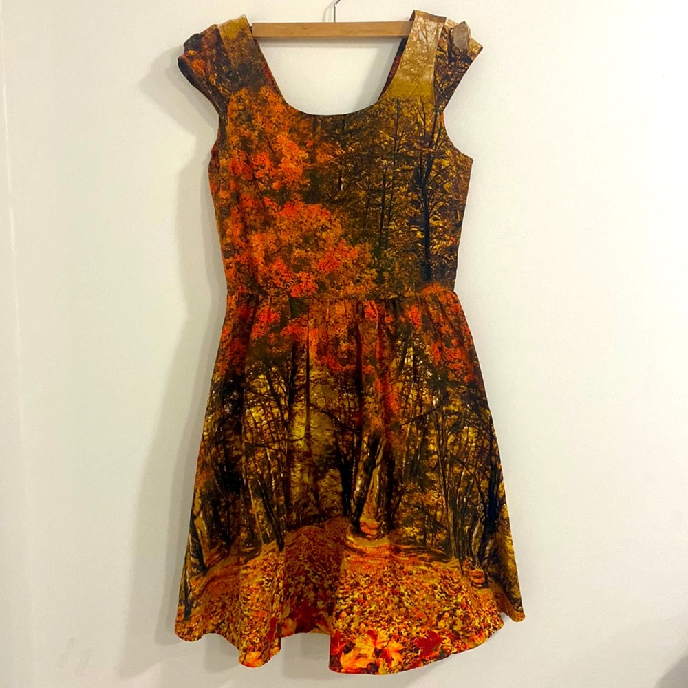 Retrolicious Autumn Scene Dress